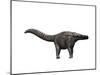 Apatosaurus Dinosaur-null-Mounted Art Print