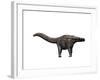 Apatosaurus Dinosaur-null-Framed Art Print