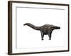 Apatosaurus Dinosaur-null-Framed Art Print