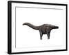 Apatosaurus Dinosaur-null-Framed Art Print