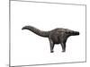 Apatosaurus Dinosaur-null-Mounted Art Print