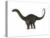 Apatosaurus Dinosaur-Stocktrek Images-Stretched Canvas