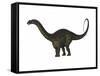 Apatosaurus Dinosaur-Stocktrek Images-Framed Stretched Canvas