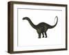 Apatosaurus Dinosaur-Stocktrek Images-Framed Art Print