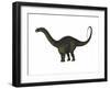 Apatosaurus Dinosaur-Stocktrek Images-Framed Art Print