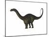 Apatosaurus Dinosaur-Stocktrek Images-Mounted Art Print
