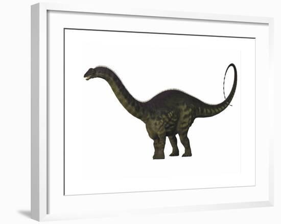 Apatosaurus Dinosaur-Stocktrek Images-Framed Art Print
