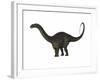 Apatosaurus Dinosaur-Stocktrek Images-Framed Art Print