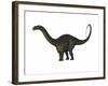 Apatosaurus Dinosaur-Stocktrek Images-Framed Art Print