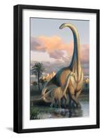 Apatosaurus Dinosaur-Lantern Press-Framed Art Print