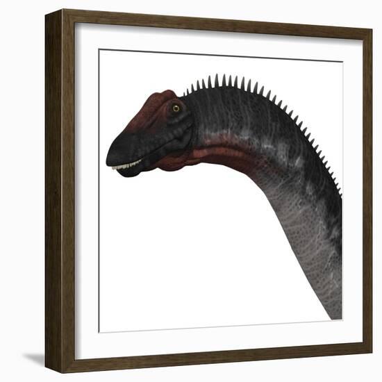 Apatosaurus Dinosaur-Stocktrek Images-Framed Art Print