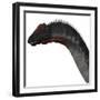 Apatosaurus Dinosaur-Stocktrek Images-Framed Art Print