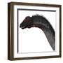 Apatosaurus Dinosaur-Stocktrek Images-Framed Art Print