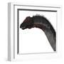 Apatosaurus Dinosaur-Stocktrek Images-Framed Art Print