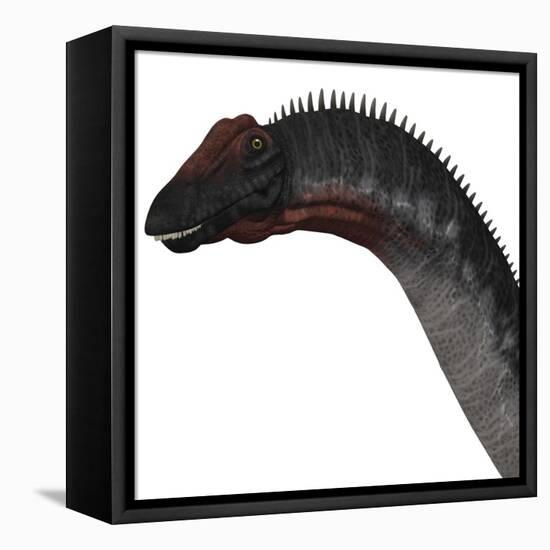 Apatosaurus Dinosaur-Stocktrek Images-Framed Stretched Canvas