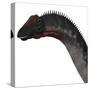 Apatosaurus Dinosaur-Stocktrek Images-Stretched Canvas