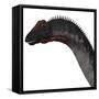 Apatosaurus Dinosaur-Stocktrek Images-Framed Stretched Canvas