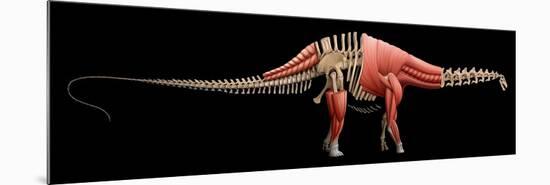 Apatosaurus Skeleton and Muscles-null-Mounted Premium Giclee Print