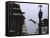 Ape Jumping, Nepal-Michael Brown-Framed Stretched Canvas