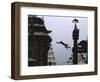 Ape Jumping, Nepal-Michael Brown-Framed Photographic Print