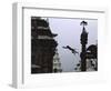 Ape Jumping, Nepal-Michael Brown-Framed Photographic Print