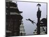 Ape Jumping, Nepal-Michael Brown-Mounted Photographic Print