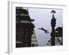 Ape Jumping, Nepal-Michael Brown-Framed Photographic Print