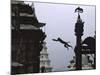 Ape Jumping, Nepal-Michael Brown-Mounted Photographic Print