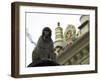 Ape, Nepal-Michael Brown-Framed Photographic Print
