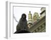 Ape, Nepal-Michael Brown-Framed Photographic Print