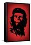 Ape Revolution Movie Plastic Sign-null-Framed Stretched Canvas