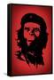 Ape Revolution Movie Plastic Sign-null-Framed Stretched Canvas