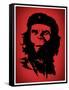 Ape Revolution Movie-null-Framed Stretched Canvas