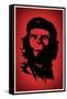 Ape Revolution Movie-null-Framed Stretched Canvas