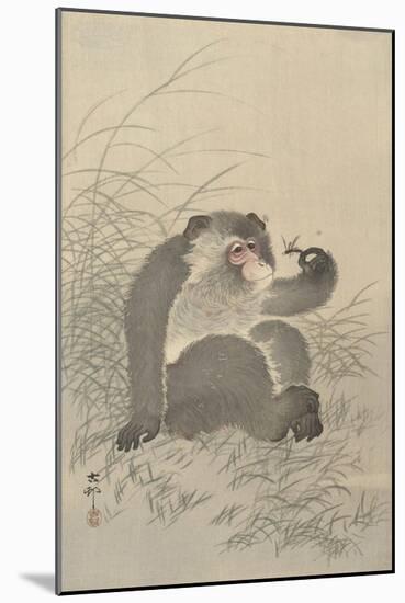 Ape with Insect and Matsuki Heikichi, C. 1900-30, Japanese Woodcut-Ohara Koson-Mounted Art Print
