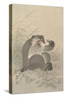 Ape with Insect and Matsuki Heikichi, C. 1900-30, Japanese Woodcut-Ohara Koson-Stretched Canvas
