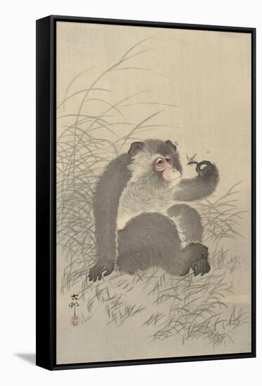 Ape with Insect and Matsuki Heikichi, C. 1900-30, Japanese Woodcut-Ohara Koson-Framed Stretched Canvas