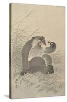 Ape with Insect and Matsuki Heikichi, C. 1900-30, Japanese Woodcut-Ohara Koson-Stretched Canvas