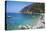 Apella Beach, Karpathos Island, Dodecanese, Greek Islands, Greece, Europe-Tuul-Stretched Canvas