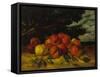 Apfelstilleben. 1871-Gustave Courbet-Framed Stretched Canvas