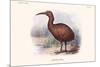 Aphanapteryx Bonasia-Lionel Walter Rothschild-Mounted Premium Giclee Print
