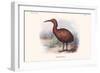 Aphanapteryx Bonasia-Lionel Walter Rothschild-Framed Art Print