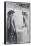 Aphrodite, 1896-Antoine Calbet-Framed Stretched Canvas