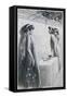 Aphrodite, 1896-Antoine Calbet-Framed Stretched Canvas