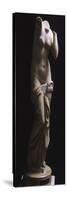 Aphrodite Anadyomene Hellenistic Sculpture-null-Stretched Canvas