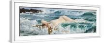 White Frame