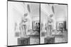 Aphrodite Callipygos and Other Statues in the Museo Archeologico Nazionale in Naples, Italy-null-Mounted Photographic Print