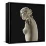 Aphrodite dite Vénus de Milo-null-Framed Stretched Canvas