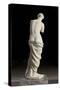 Aphrodite dite Vénus de Milo-null-Stretched Canvas