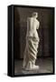 Aphrodite dite Vénus de Milo-null-Framed Stretched Canvas